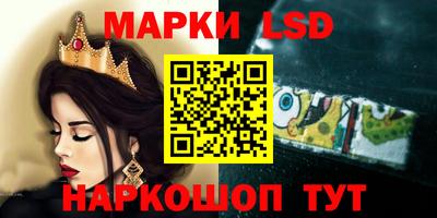 гидра Ставрополь