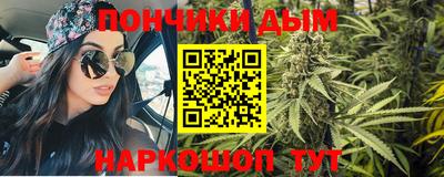 гидра Ставрополь