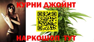 гидра Ставрополь