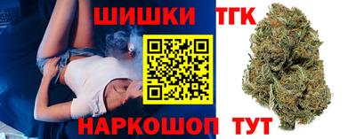 гидра Ставрополь
