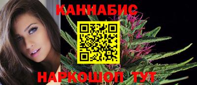 гидра Ставрополь