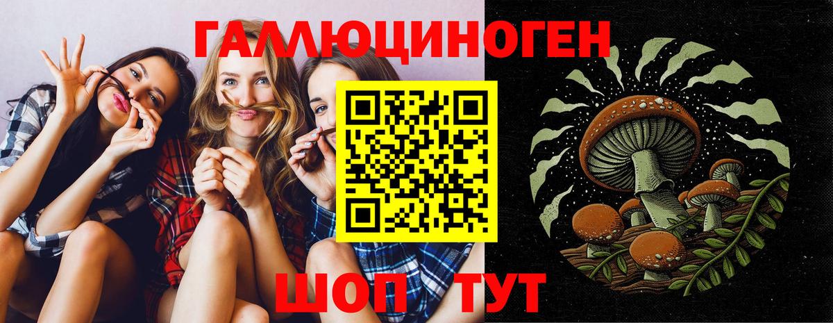 Галлюциногенные грибы MAGIC MUSHROOMS  Вход с VPN  Рубцовск 